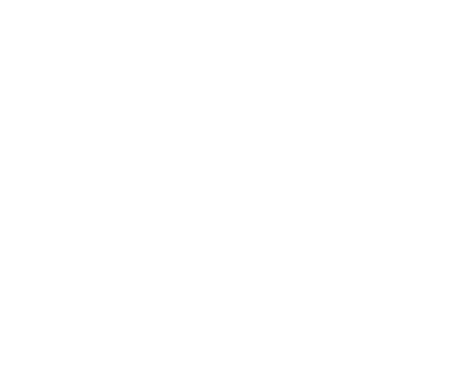 padlock icon